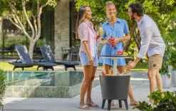 Cool Bars><noscript><img width=