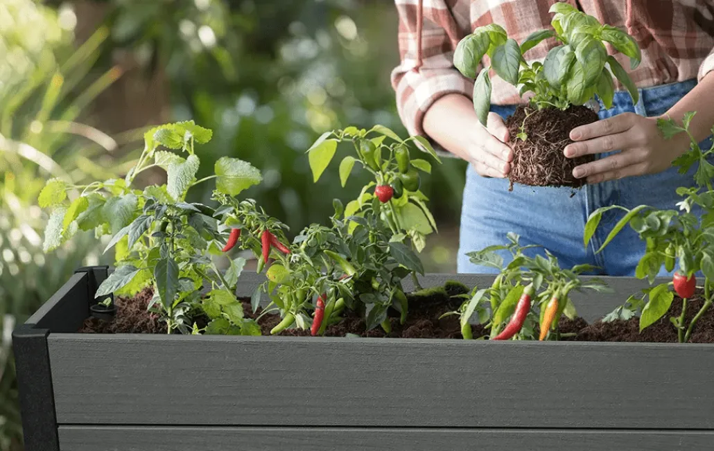 Garden Beds>Keter Darwin 29 Gallon Elevated Garden Bed - Graphite