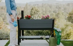 Garden Beds><noscript><img width=