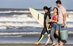 Cool Bars><noscript><img width=