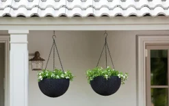 Planters>Keter Hanging Planter Set of 2 - Graphite