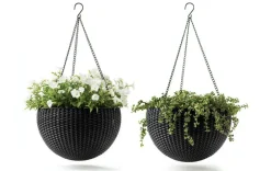 Planters><noscript><img width=