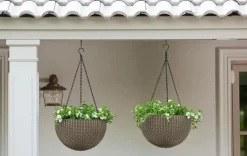 Planters><noscript><img width=