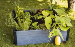 Garden Beds><noscript><img width=