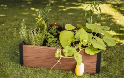 Garden Beds><noscript><img width=