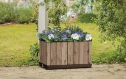 Planters><noscript><img width=