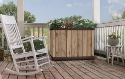 Planters><noscript><img width=