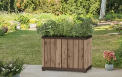 Planters><noscript><img width=