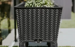 Garden Beds><noscript><img width=