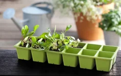 Garden Beds><noscript><img width=