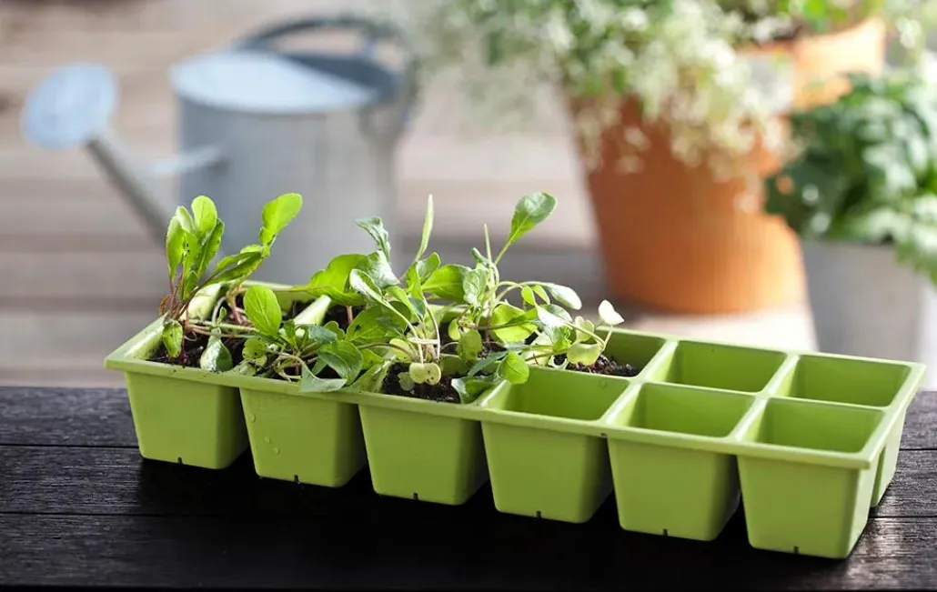 Garden Beds>Keter Urban Bloomer 12.7 Gallon Elevated Garden Bed - Graphite