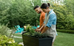 Garden Beds><noscript><img width=